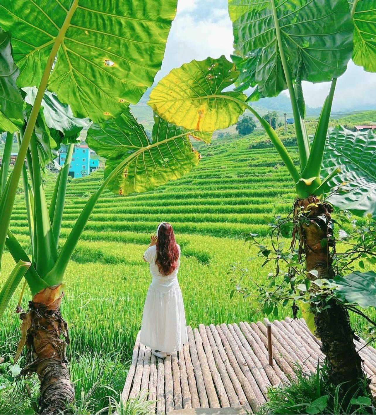 Boutique En Hotel Sapa Eksteriør bilde